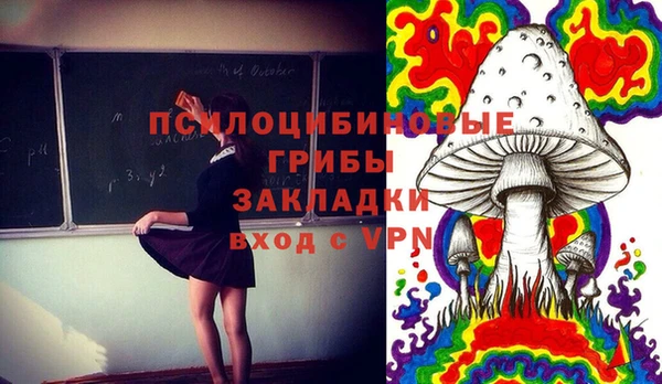 трава Елизово