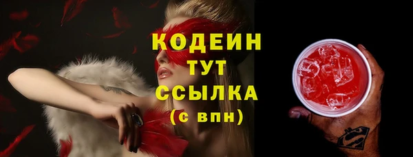 скорость Ельня