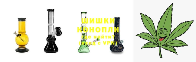 скорость Ельня