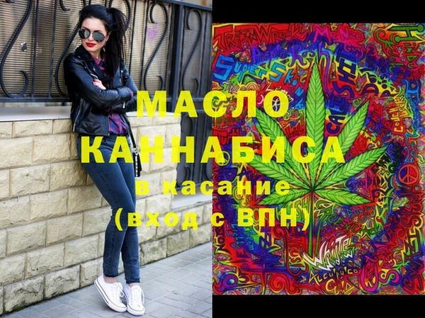 скорость Ельня
