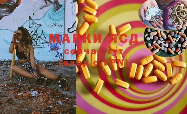 скорость Ельня