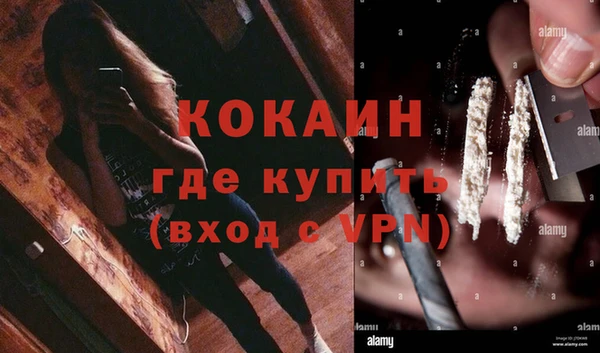 трава Елизово
