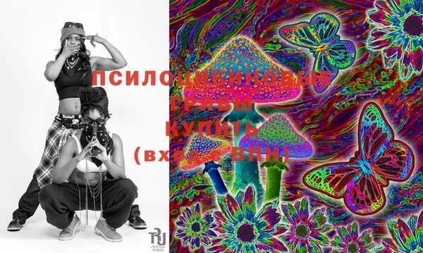 трава Елизово